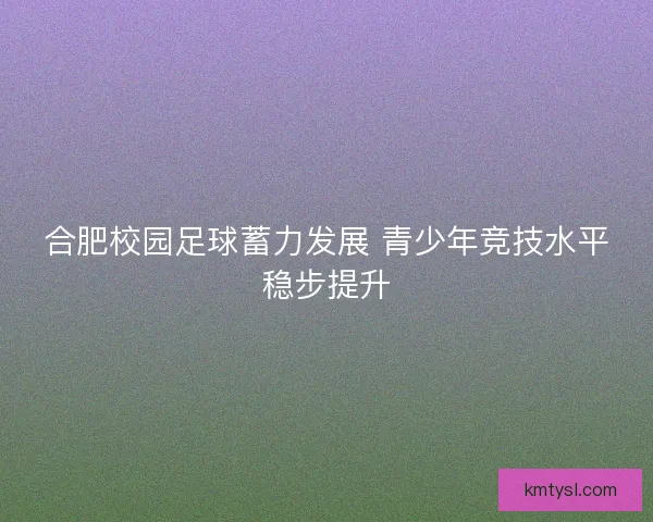 合肥校园足球蓄力发展 青少年竞技水平稳步提升